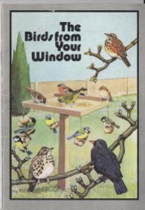 Birdwatching in the 70s