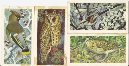 brooke-bond-bird-cards-tunnicliffe-1965